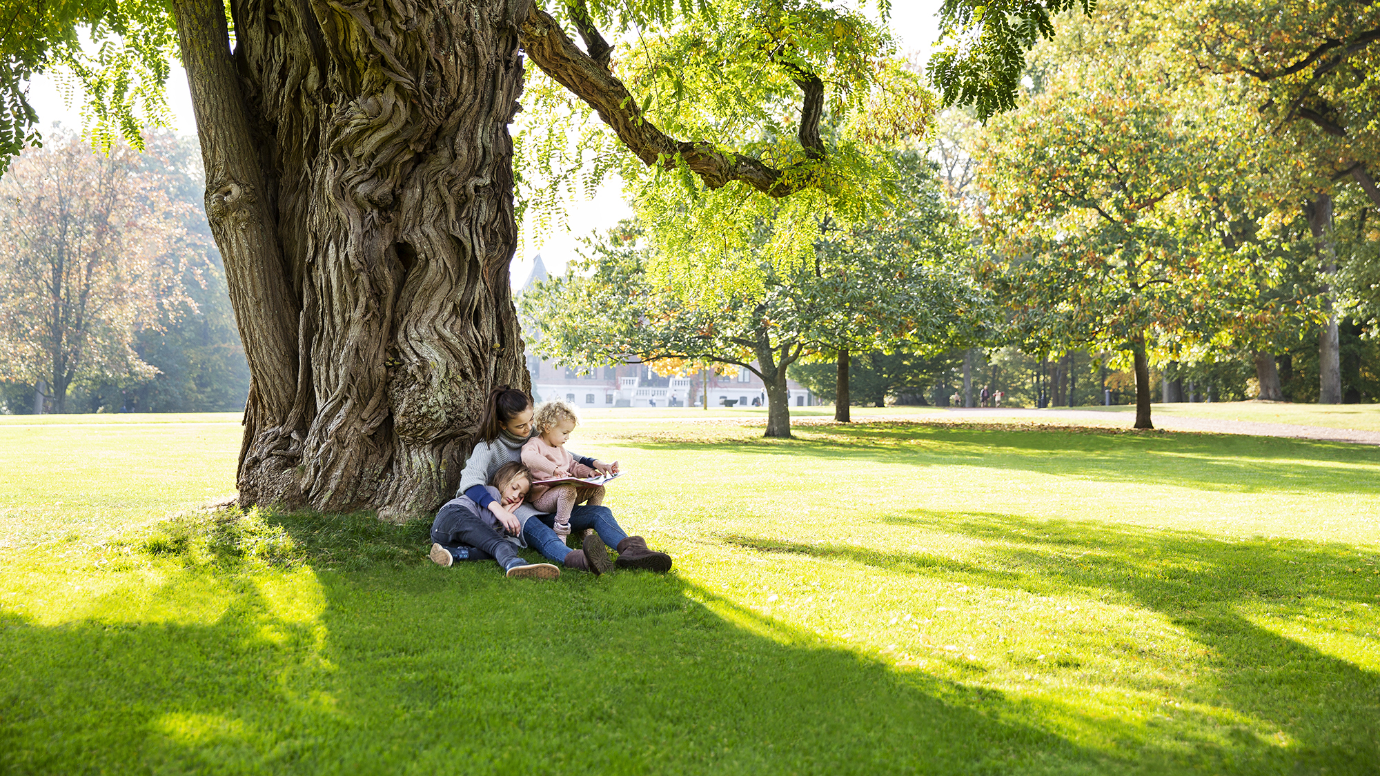 Barn läser bok under träd på Sofiero.
