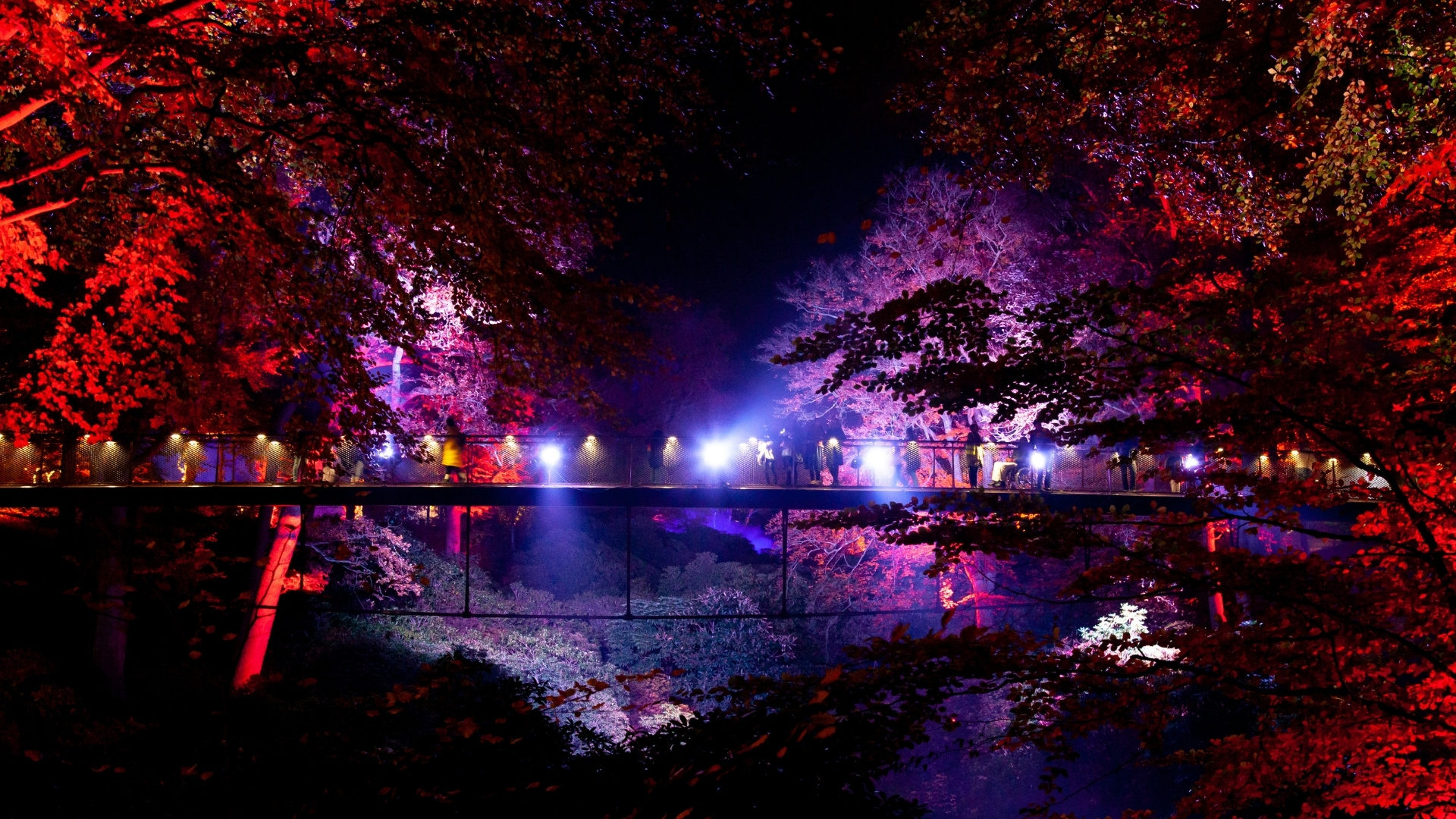 Parken upplyst under höstljus.