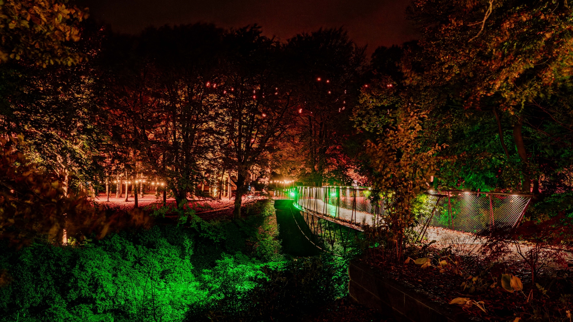 Sofias bro under Höstljus 2025 på Sofiero