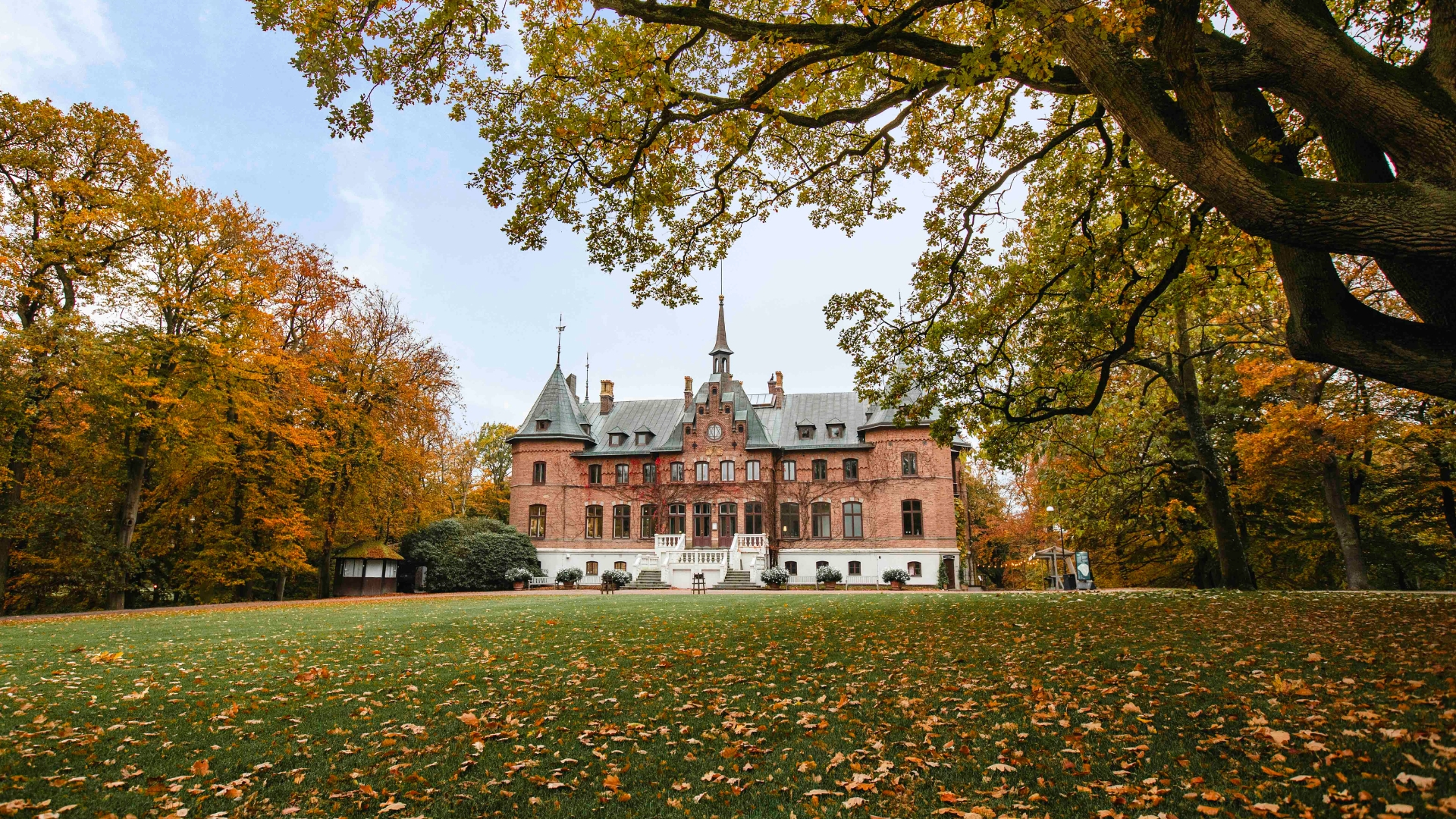 Sofiero slott under hösten med vackra löv i höstens färger